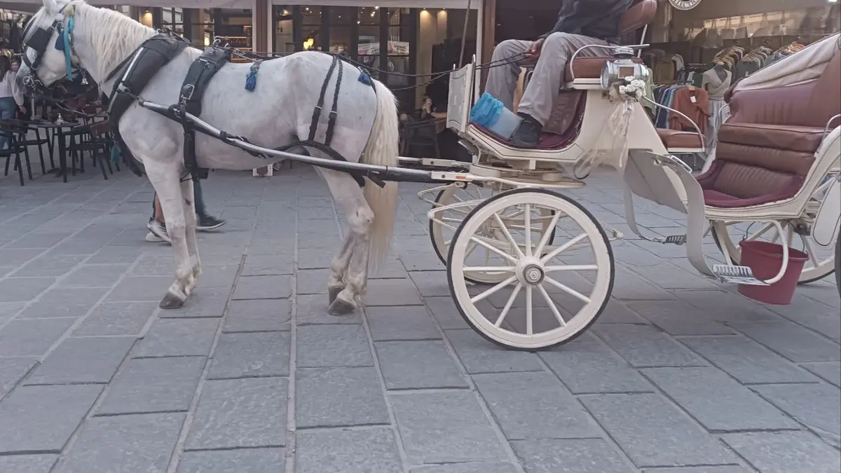 Hästdragen vagn i Chania